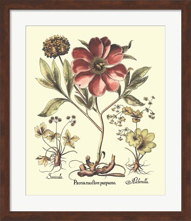 Framed Framboise Floral I Print