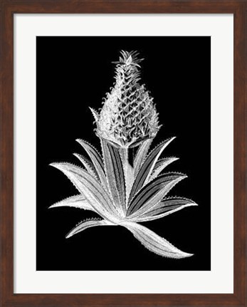 Framed Pineapple Noir I Print