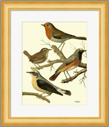 Framed Domestic Bird Family III Print