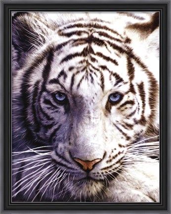 http://www.fulcrumgallery.com/White-Tiger_49859.htm?sku=R49859-AEAAAACAEY