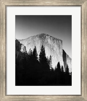 Framed El Capitan In Trees Print