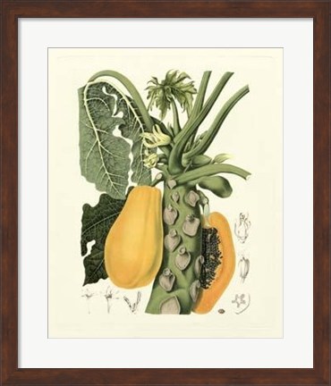 Framed Island Fruits IV Print