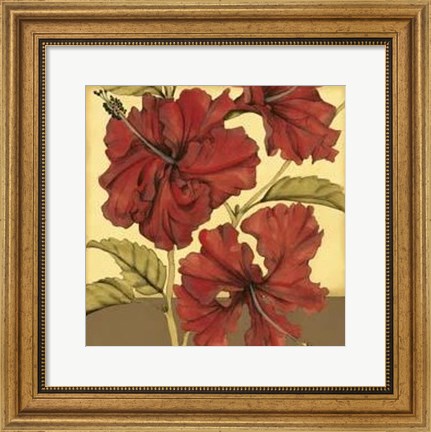 Framed Cropped Sophisticated Hibiscus I Print