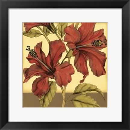 Framed Cropped Sophisticated Hibiscus II Print