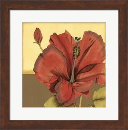 Framed Cropped Sophisticated Hibiscus IV Print