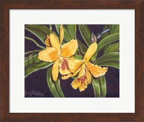 Framed Vibrant Orchid I Print