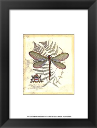 Framed Mini Regal Dragonfly II Print