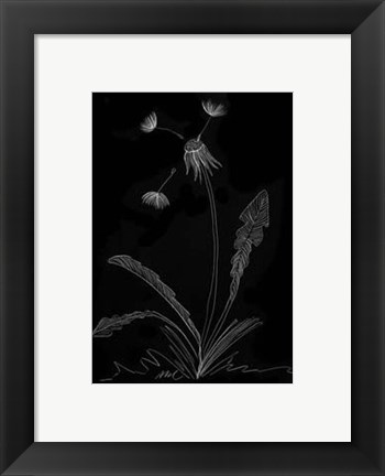 Framed Dandelion Garden I Print