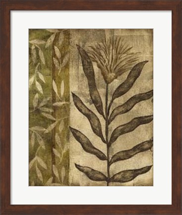 Framed Plant Exotica I Print