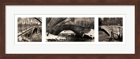 Framed Central Park Bridges Print