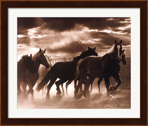 Framed Running Horses &amp; Sunbeams Print