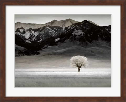 Framed Solitary Tree Print