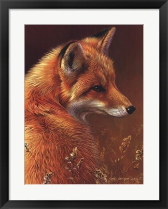 Framed Curious Red Fox Print