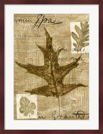 Framed Leaf Collage II Print