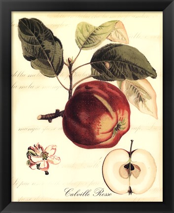 Framed Custom Tuscan Fruits I (AO) Print