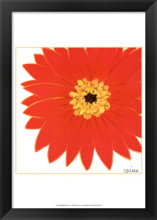 Framed Bright Blossoms I Print