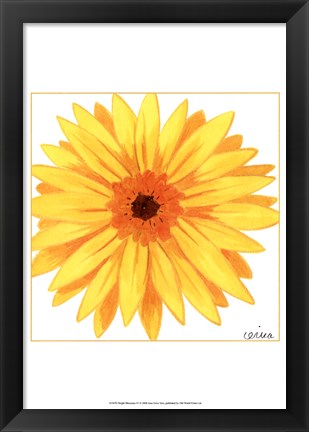 Framed Bright Blossoms IV Print
