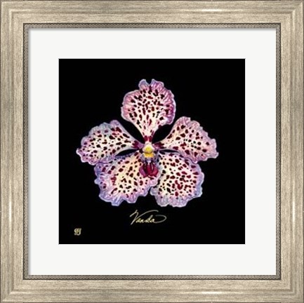 Framed Vivid Orchid V Print