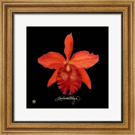 Framed Vivid Orchid IX Print