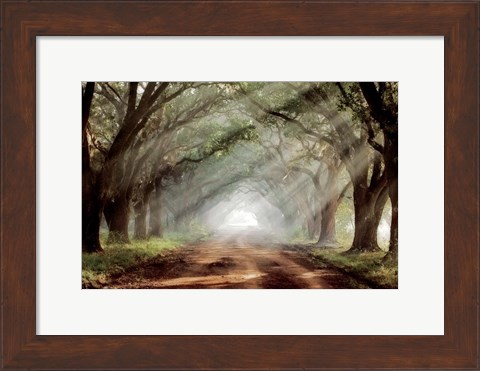 Framed Evergreen Plantation A Print