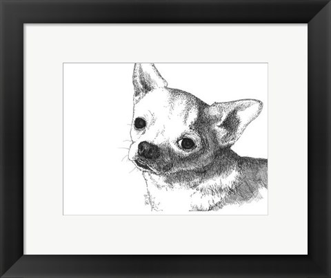 Framed Bruiser the Chihuahua Print