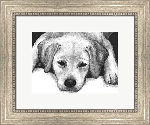 Framed Kailie the Yellow Lab Print