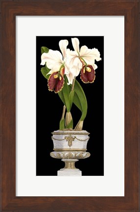 Framed Small Orchids in Silver (IP) I Print