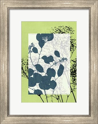 Framed Sm Translucent Wildflowers VII Print