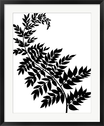 Framed Leaf Silhouette III Print