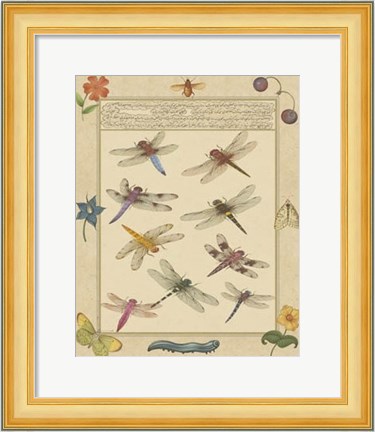 Framed Dragonfly Manuscript III Print