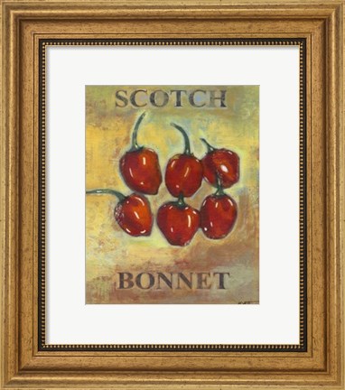 Framed Scotch Bonnet Print