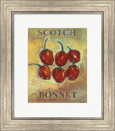 Framed Scotch Bonnet Print