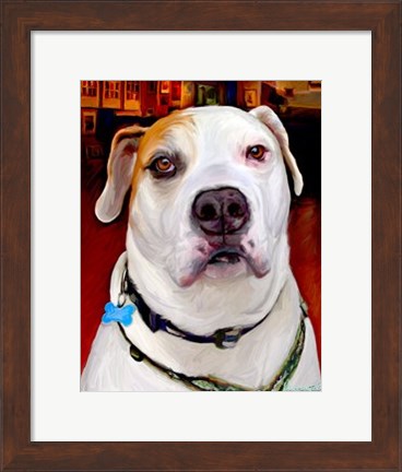 Framed Sonny American Bulldog Print