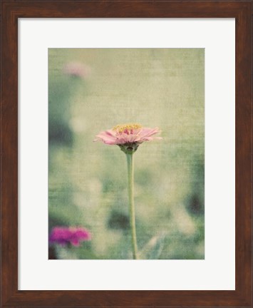 Framed Flower Portrait IV Print