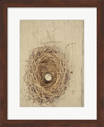 Framed Nesting III Print