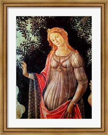 Framed Primavera, detail of Venus, c.1478 Print