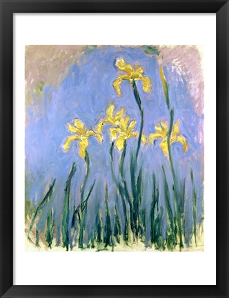 Framed Yellow Irises, c.1918-25 Print