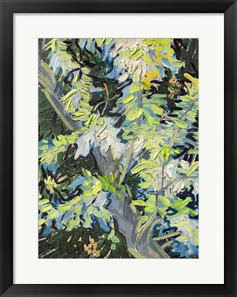 Framed Acacia in Flowe Print