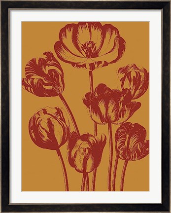 Framed Tulip 15 Print