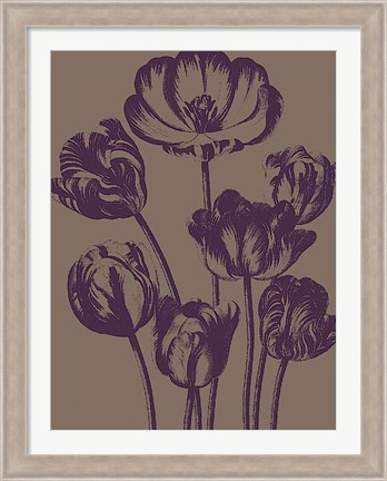 Framed Tulip 14 Print