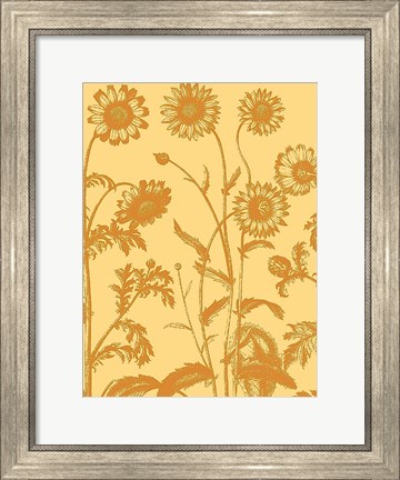 Framed Chrysanthemum 19 Print
