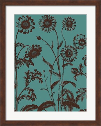 Framed Chrysanthemum 5 Print
