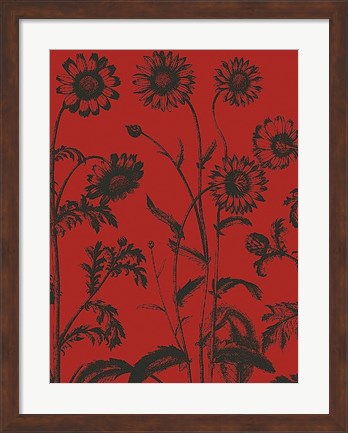 Framed Chrysanthemum 9 Print