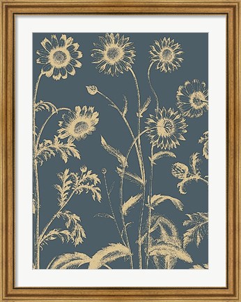 Framed Chrysanthemum 2 Print