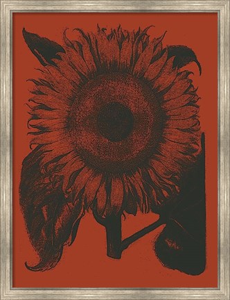 Framed Sunflower 9 Print