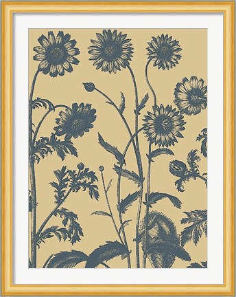 Framed Chrysanthemum 1 Print