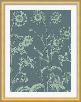 Framed Chrysanthemum 7 Print