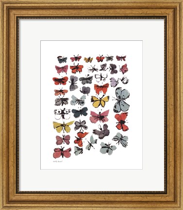 Framed Butterflies, 1955  (many/varied colors) Print
