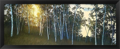 Framed Hillside Birches Print