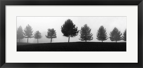 Framed Tree Line Print